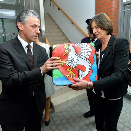 Wyświetl org. rozmiar