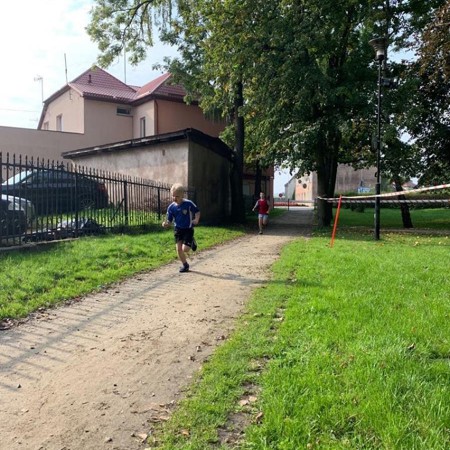 Wyświetl org. rozmiar
