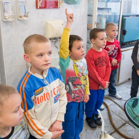 Wyświetl org. rozmiar