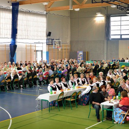 Wyświetl org. rozmiar
