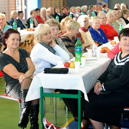 Wyświetl org. rozmiar
