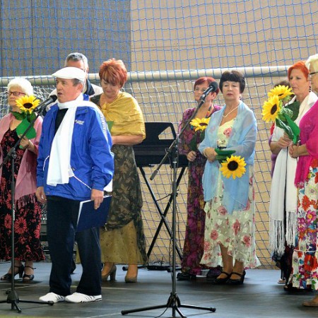 Wyświetl org. rozmiar