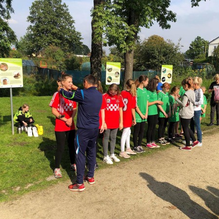 Wyświetl org. rozmiar
