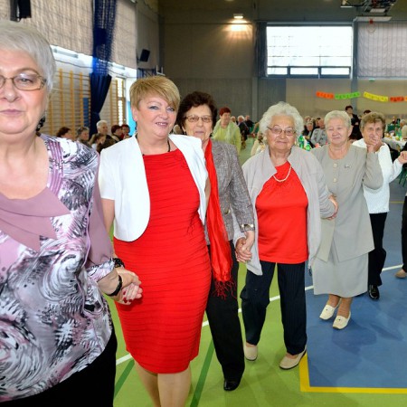 Wyświetl org. rozmiar