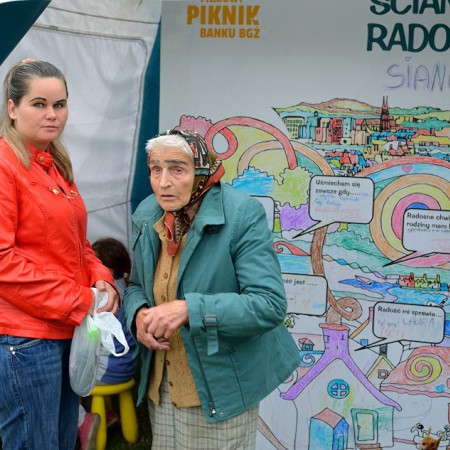 Wyświetl org. rozmiar
