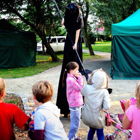 Wyświetl org. rozmiar