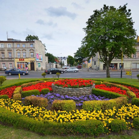 Wyświetl org. rozmiar