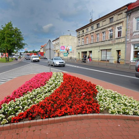 Wyświetl org. rozmiar
