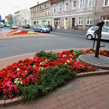 Wyświetl org. rozmiar