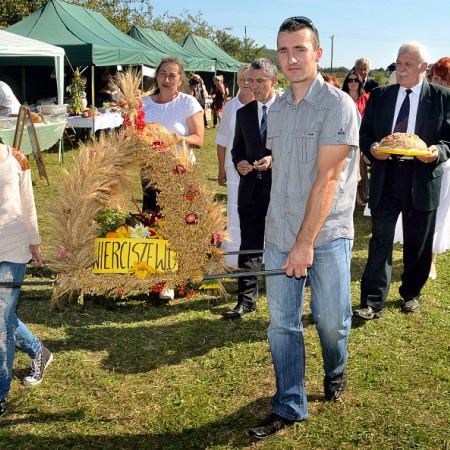 Wyświetl org. rozmiar