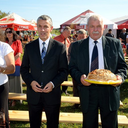 Wyświetl org. rozmiar
