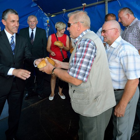 Wyświetl org. rozmiar