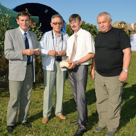 Wyświetl org. rozmiar
