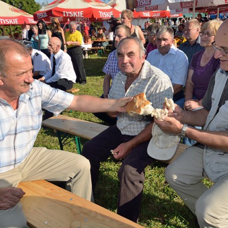 Wyświetl org. rozmiar