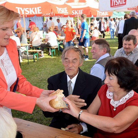 Wyświetl org. rozmiar