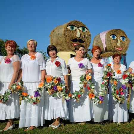 Wyświetl org. rozmiar
