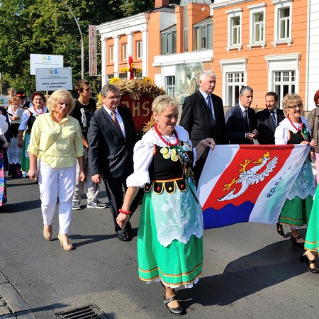 Wyświetl org. rozmiar