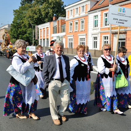 Wyświetl org. rozmiar
