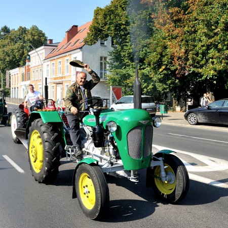 Wyświetl org. rozmiar