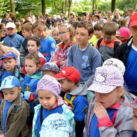 Wyświetl org. rozmiar