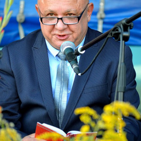 Wyświetl org. rozmiar