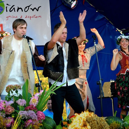 Wyświetl org. rozmiar