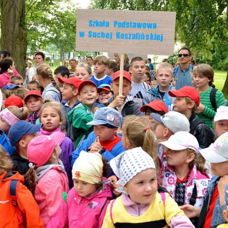 Wyświetl org. rozmiar