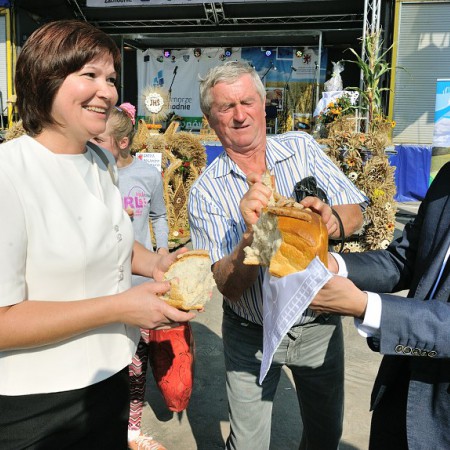 Wyświetl org. rozmiar