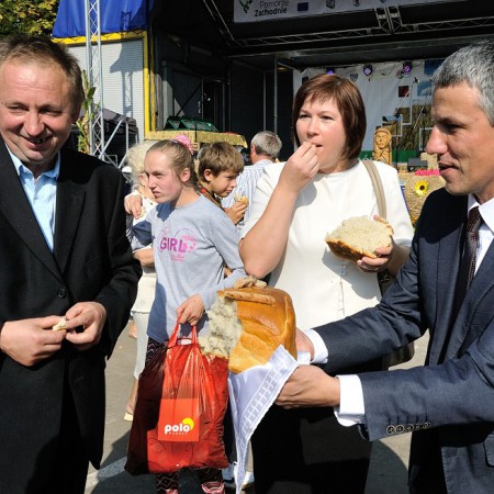 Wyświetl org. rozmiar