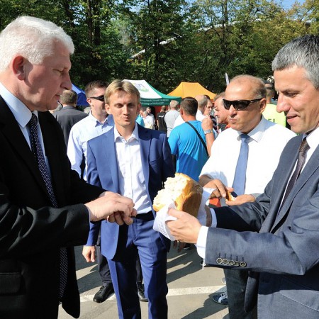 Wyświetl org. rozmiar