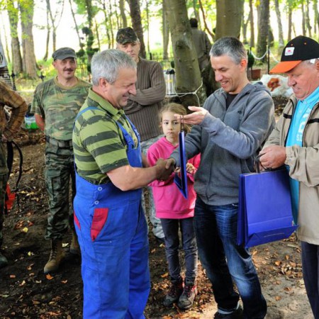 Wyświetl org. rozmiar