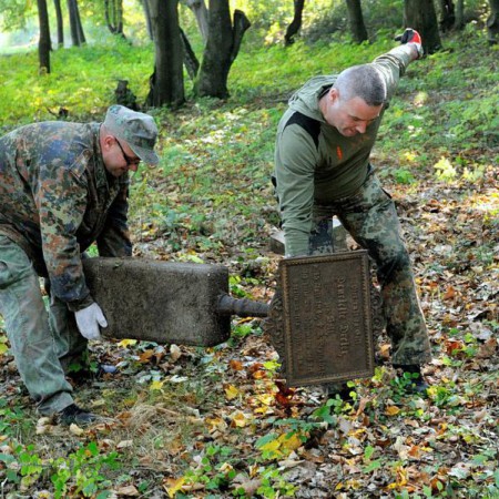 Wyświetl org. rozmiar