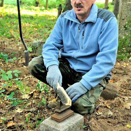 Wyświetl org. rozmiar
