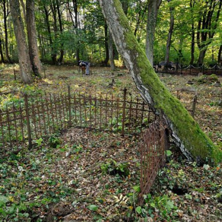 Wyświetl org. rozmiar
