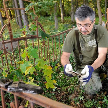 Wyświetl org. rozmiar