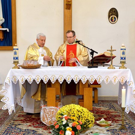 Wyświetl org. rozmiar