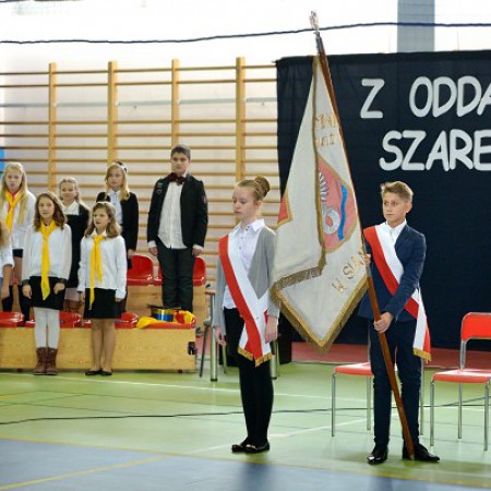 Wyświetl org. rozmiar