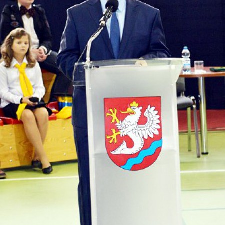 Wyświetl org. rozmiar