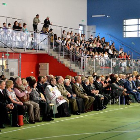 Wyświetl org. rozmiar