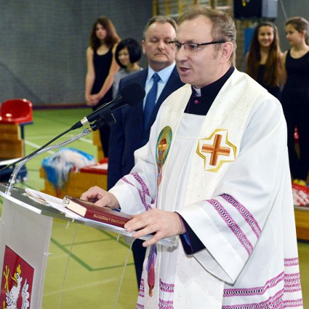 Wyświetl org. rozmiar