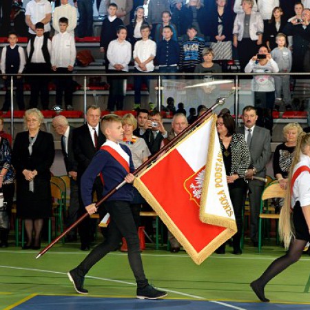 Wyświetl org. rozmiar
