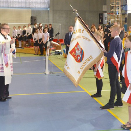 Wyświetl org. rozmiar