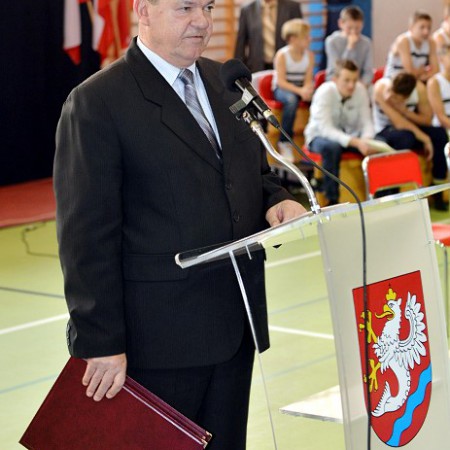 Wyświetl org. rozmiar