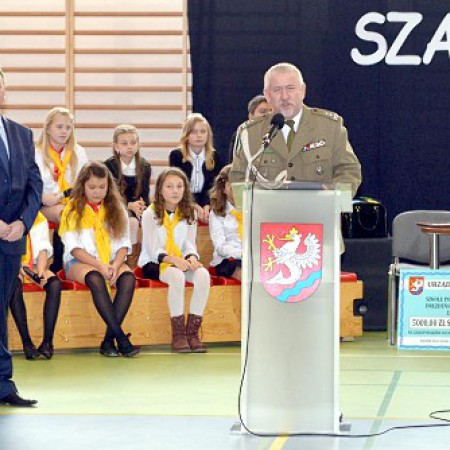 Wyświetl org. rozmiar