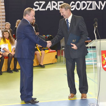 Wyświetl org. rozmiar