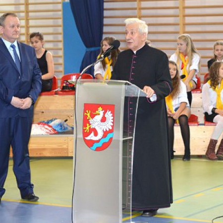 Wyświetl org. rozmiar