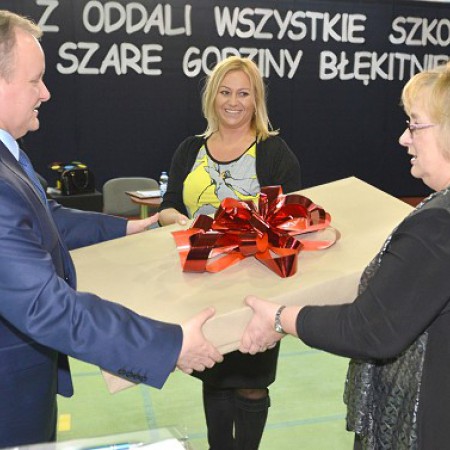 Wyświetl org. rozmiar