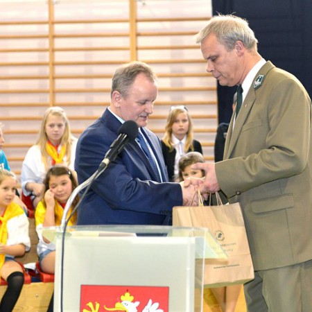Wyświetl org. rozmiar