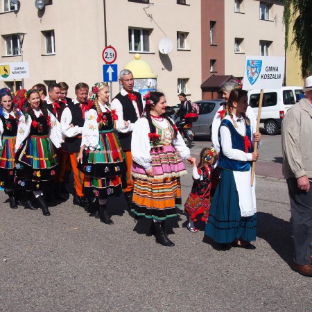 Wyświetl org. rozmiar