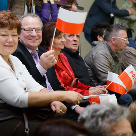 Wyświetl org. rozmiar